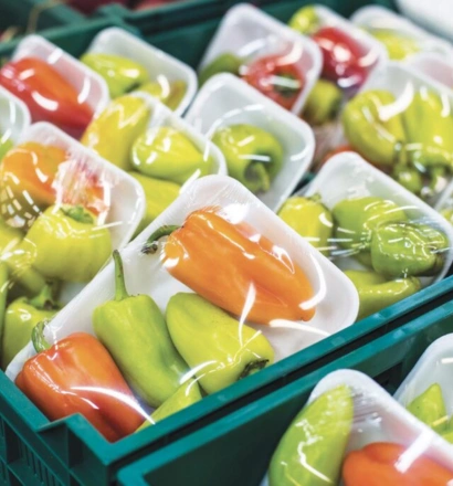 Agri Food (Packaged Food )